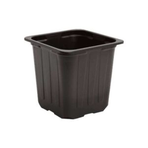 Saksija za rasad 100kom/pakovanje