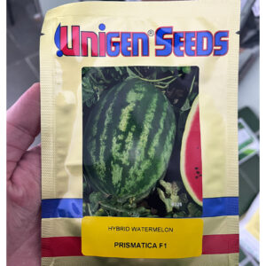 Seme lubenice Prismatica F1 (500 semenki)