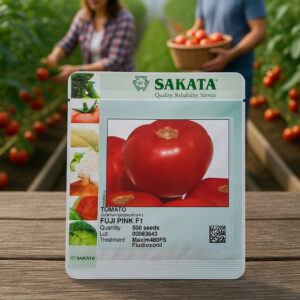 seme paradajza fuji pink Sakata