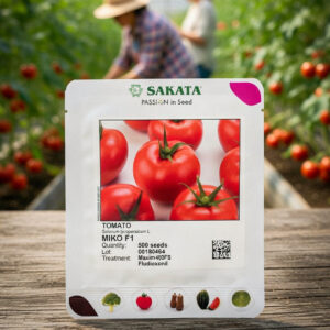 miko seme paradajza Sakata