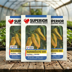 Seme paprike Narandžasto uvo